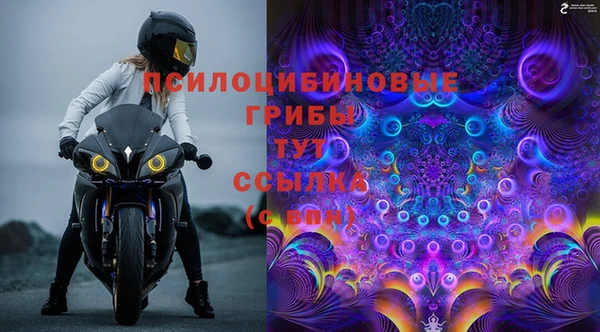 спайс Алексин