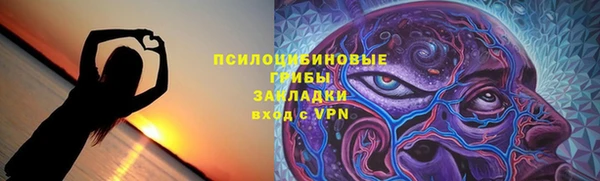 ешки Алексеевка