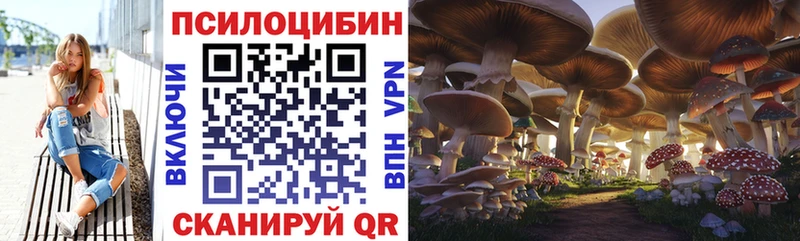 Галлюциногенные грибы Cubensis  Ардатов 